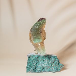 Aurora Watcher VII - Image 5