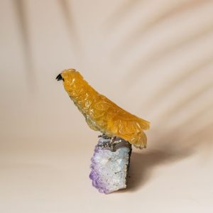 Aurora Watcher IX - Image 4