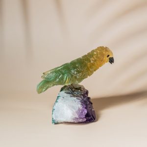 Aurora Watcher X - Image 3