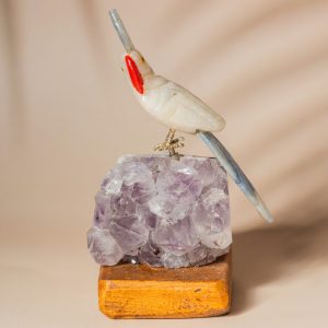 Enchanting Parrot III | Elite Gift & Decor - Image 5