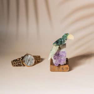 Enchanting Parrot VI - Image 4